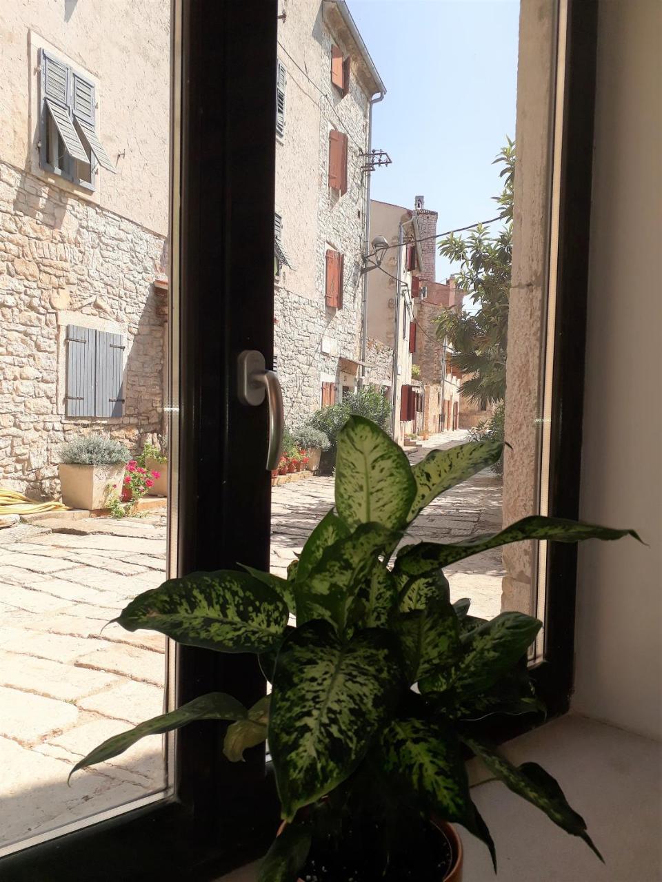 Barbiere Guest House Бале Экстерьер фото